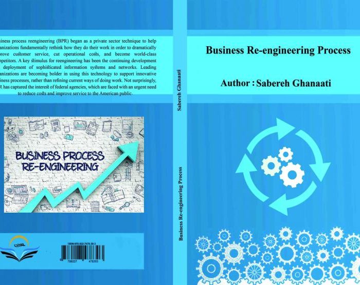 کتاب Business Re-engineering Process