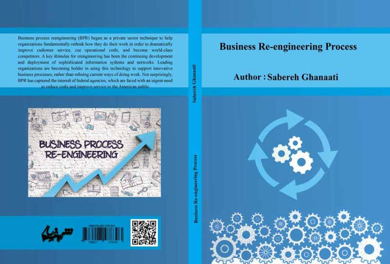 Business Re engineering Process2