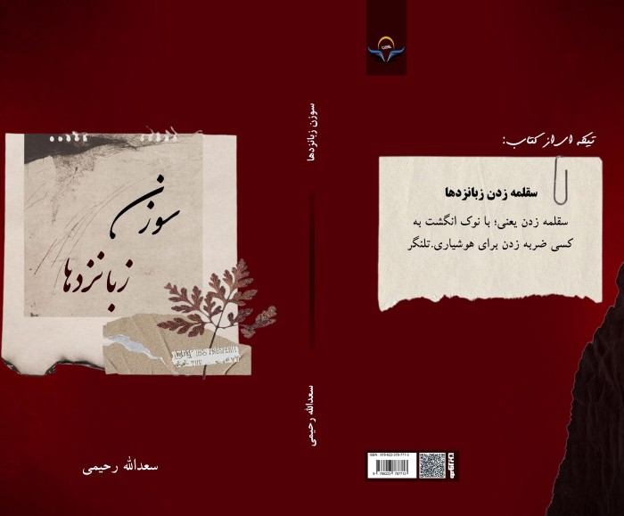 کتاب سوزن زبانزدها