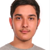 شایان منطقی فسائی