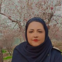 راحله امامی
