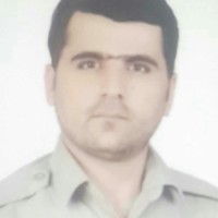 رفعت محمودی تبار