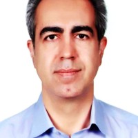 سید مرتضی رضوی