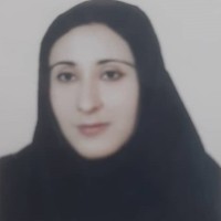 نسرین رسولی چوغانلو