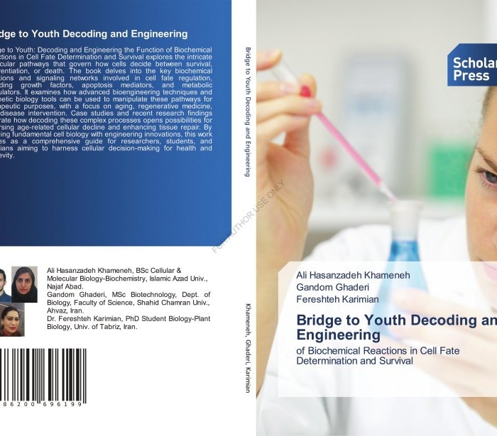 کتاب Bridge to Youth Decoding and Engineering the Function of Biochemical Reactions in Cell Fate Determination and Survival