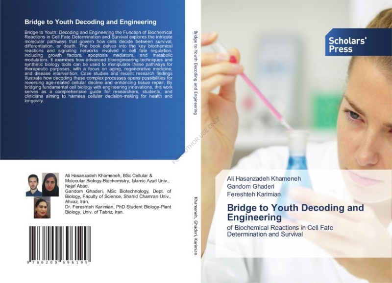 کتاب Bridge to Youth Decoding and Engineering the Function of Biochemical Reactions in Cell Fate Determination and Survival