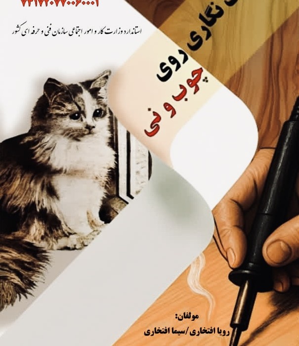 کتاب سوخت نگاری روی چوب و نی