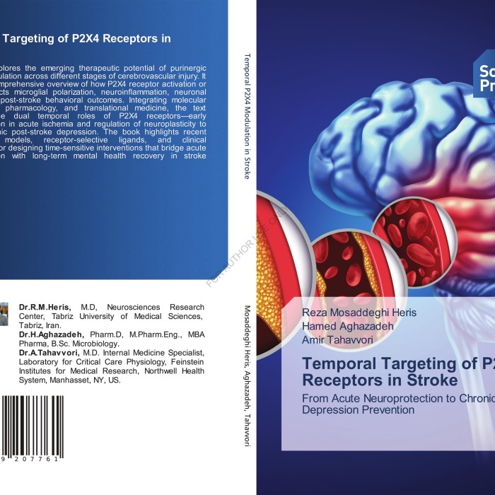 کتاب Temporal Targeting of P2X4 Receptors in Stroke From Acute Neuroprotection to Chronic Depression Prevention