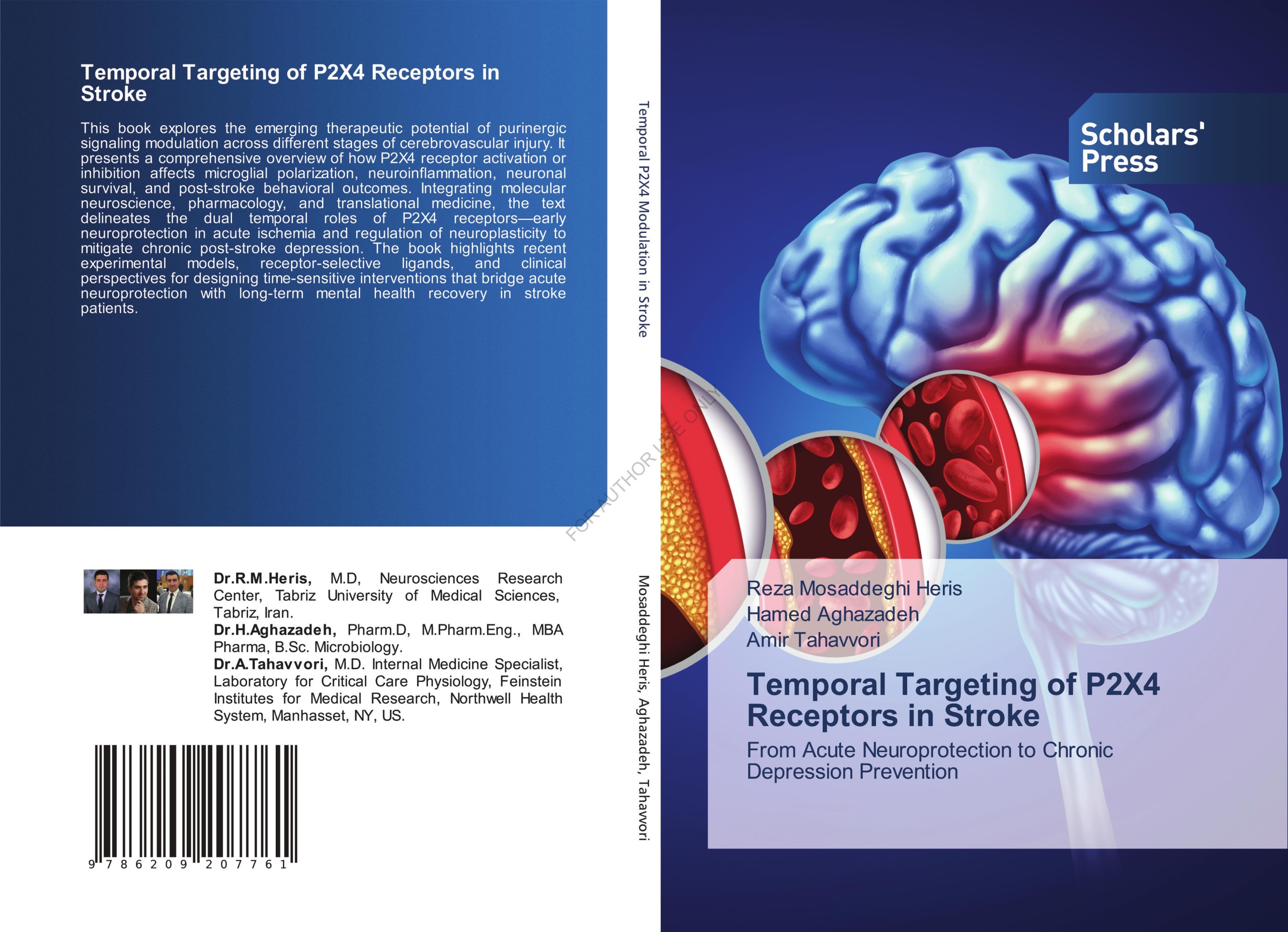 کتاب Temporal Targeting of P2X4 Receptors in Stroke From Acute Neuroprotection to Chronic Depression Prevention