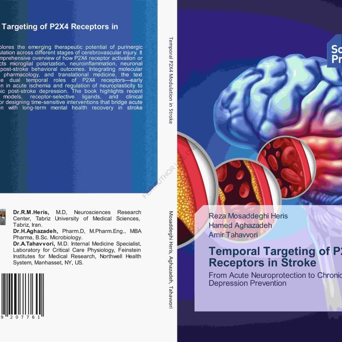 تخفیف خرید کتاب با کد ملی 10 کتاب Temporal Targeting of P2X4 Receptors in Stroke From Acute Neuroprotection to Chronic Depression Prevention