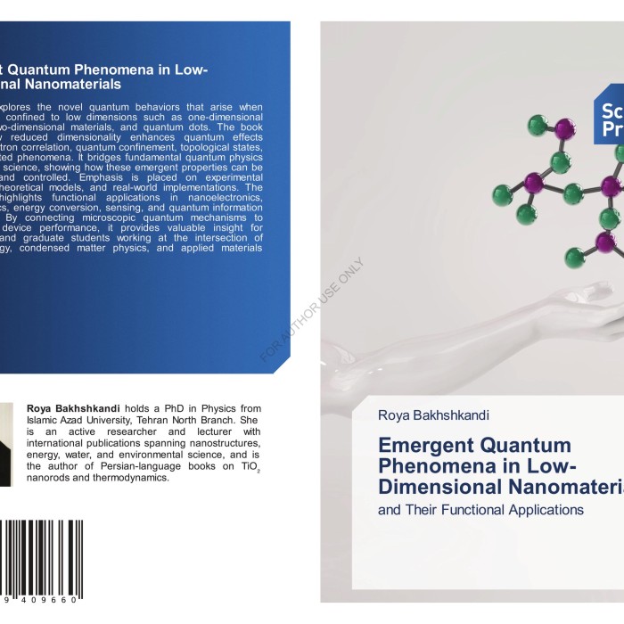 کتاب Emergent Quantum Phenomena in Low-Dimensional Nanomaterials and Their Functional Applications