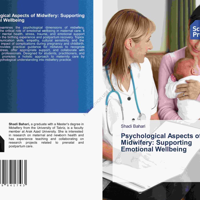 کتاب Psychological Aspects of Midwifery Supporting Emotional Wellbeing