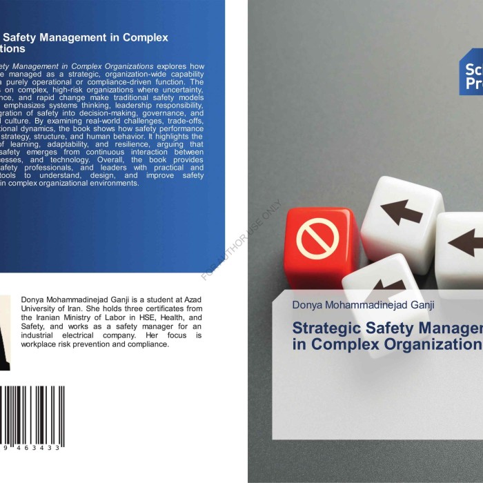 Strategic Safety Management in Complex Organizations