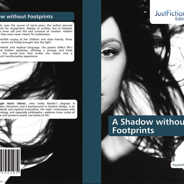کتاب A Shadow Without Footprints