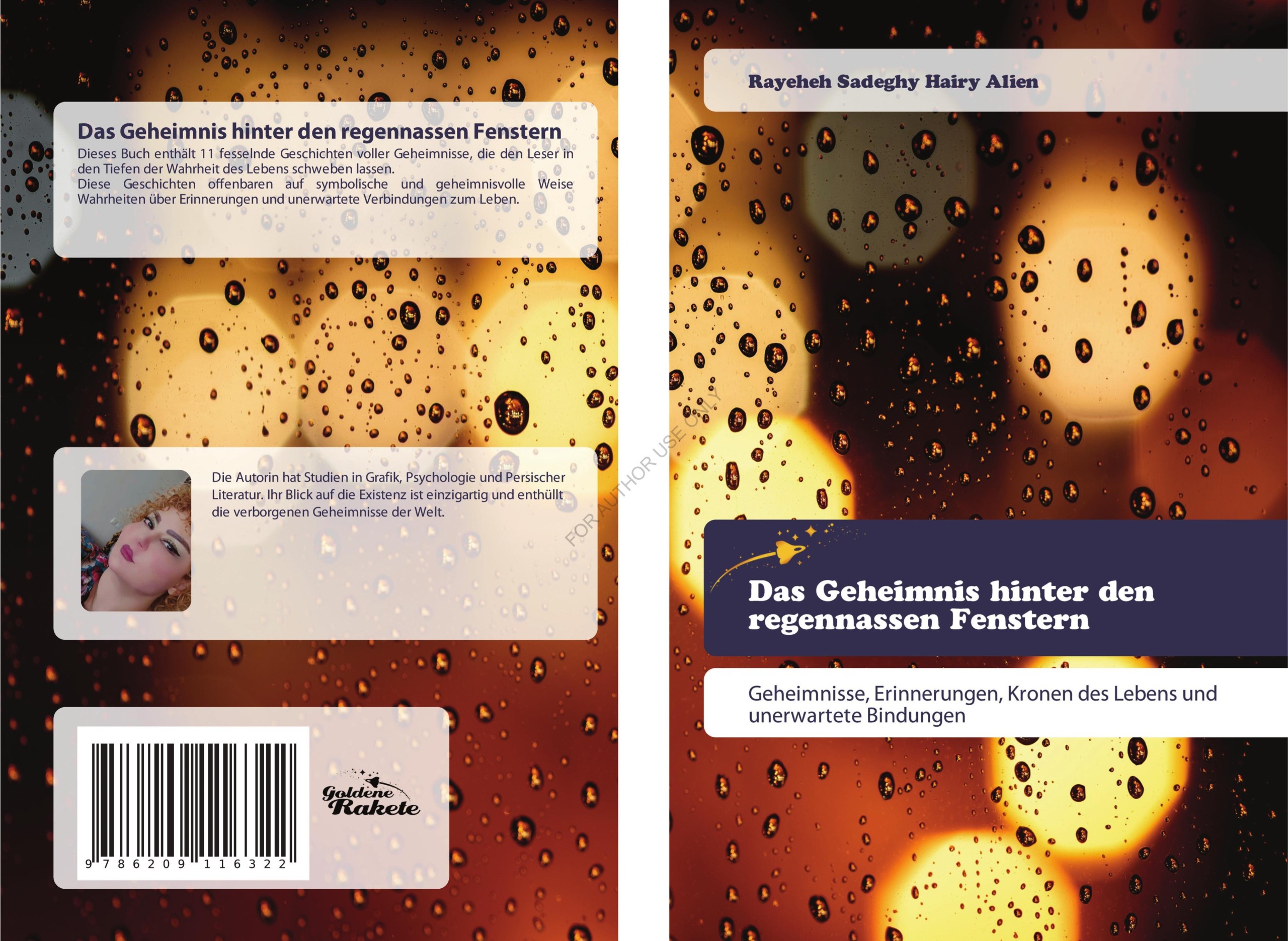 کتاب Das Geheimnis hinter den regennassen Fenstern