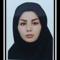 زهرا حسن پور