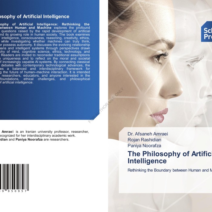 کتاب The Philosophy of Artificial Intelligence Rethinking the Boundary between Human and Machine